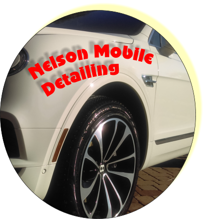 nelson mobile detailing 1